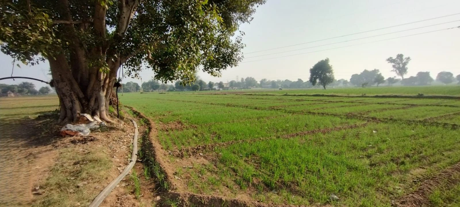 Jahar Khera, Rajasthan, India preview 3