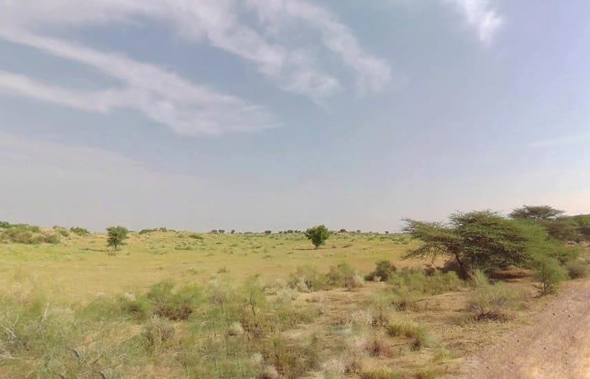 Rawla Mandi, Rajasthan 335708, India