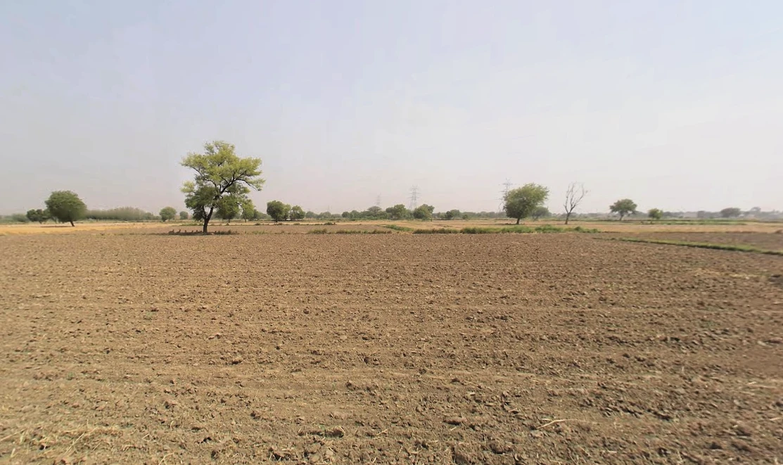 Pirthla, Haryana, India