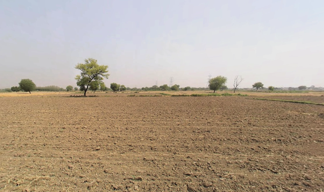 Pirthla, Haryana, India