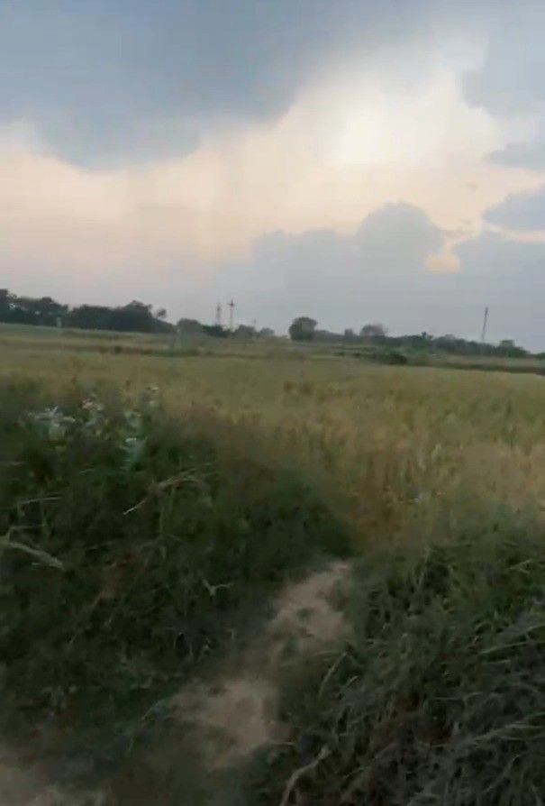 Sahona, Madhya Pradesh 475115, India