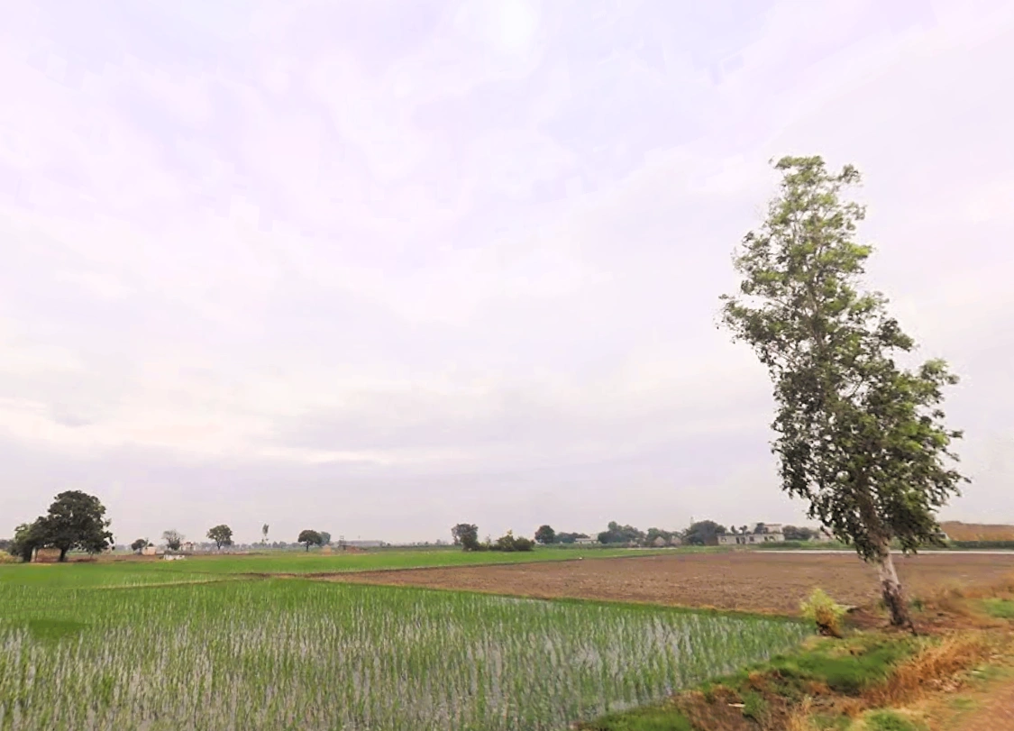 Lukhi, Haryana 136119, India