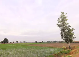 Lukhi, Haryana 136119, India preview 3