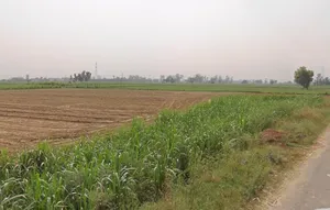 Garh Mukteshwar, Uttar Pradesh 245205, India preview 2