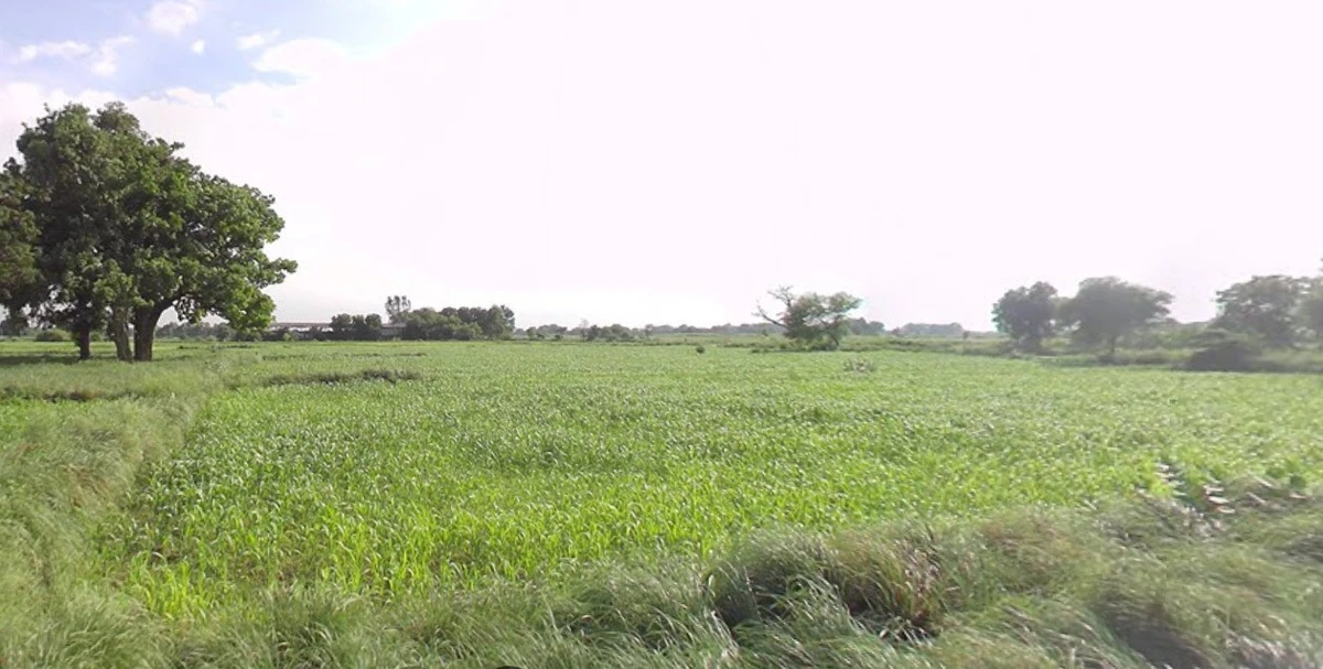 Maksi Rd, Dewas, Madhya Pradesh 455001, India