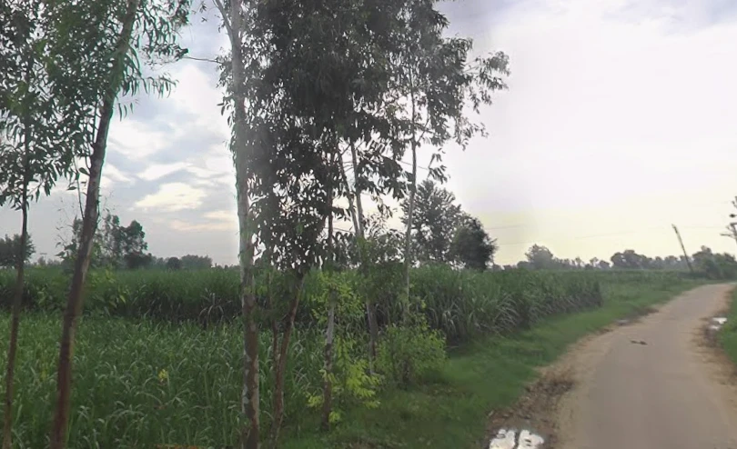 Behat, Uttar Pradesh 247121, India