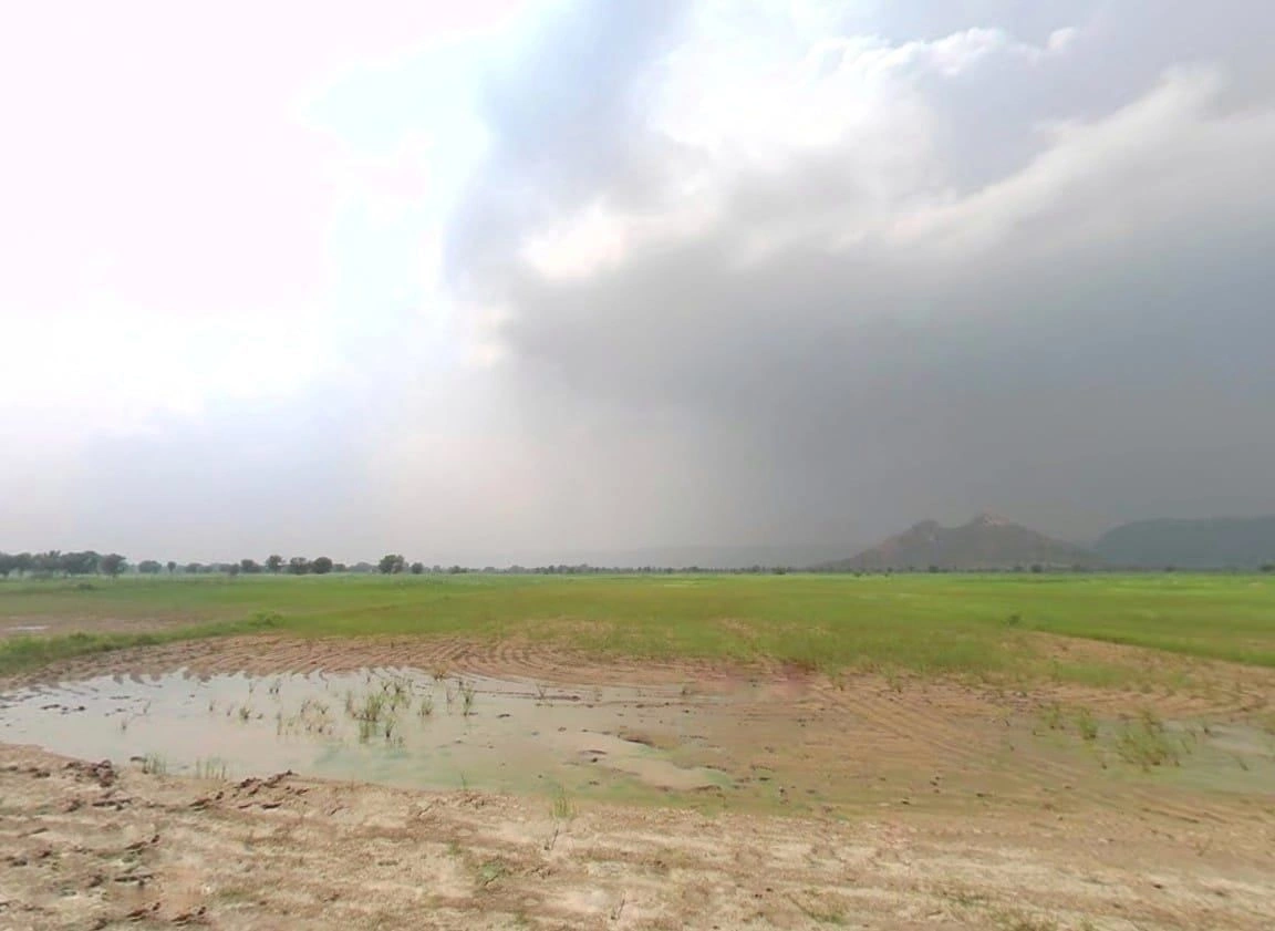 3GC8+4C2, Rambas, Rajasthan 303313, India