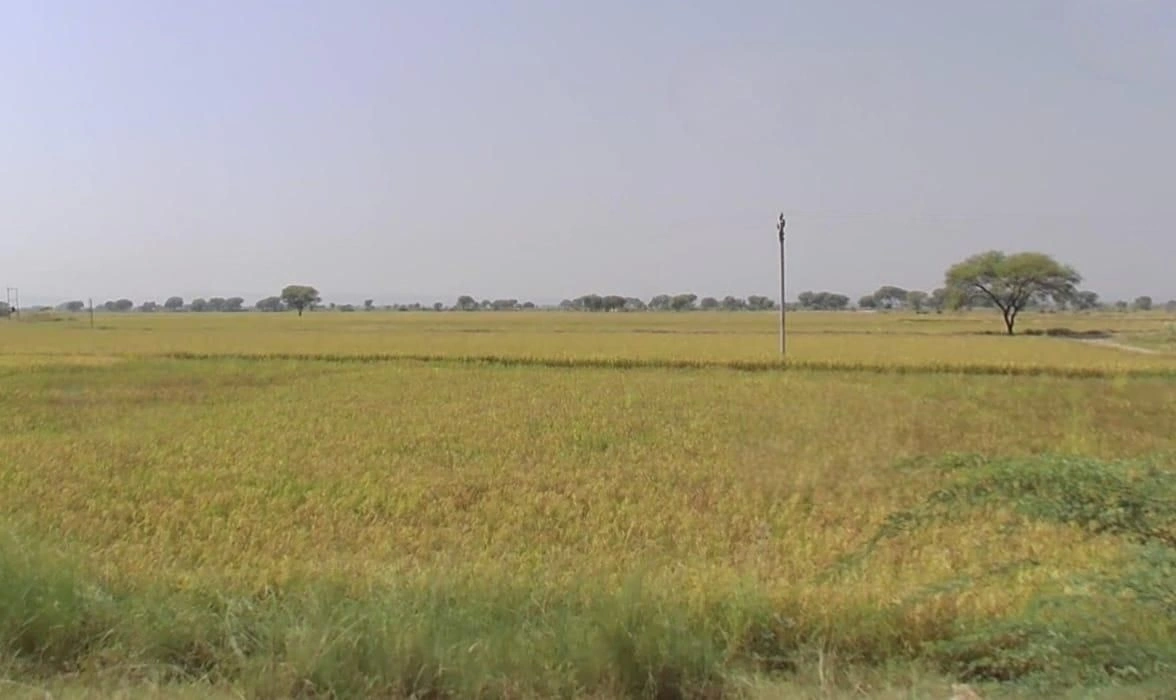 Sanchet, Madhya Pradesh, India preview 2