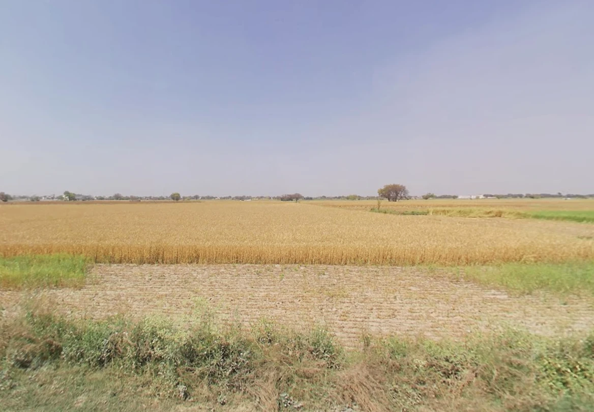 Majri, Haryana 124105, India