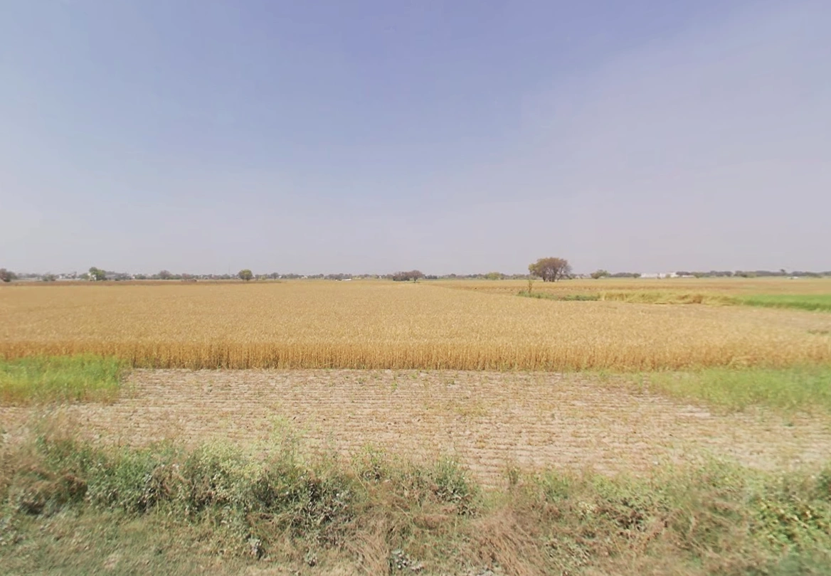Majri, Haryana 124105, India