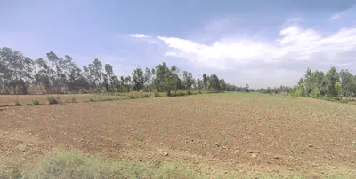 Mundia, Uttar Pradesh 244921, India preview 3