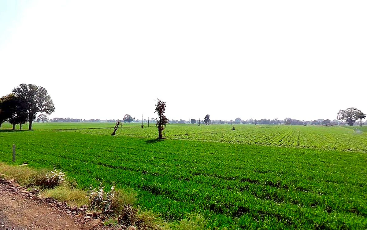 Kolshet, Thane West, Thane, Maharashtra 400607, India