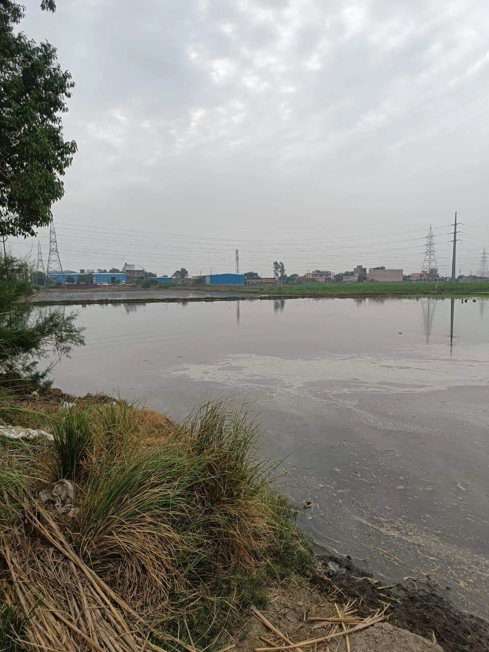 Adampur, Uttar Pradesh, India