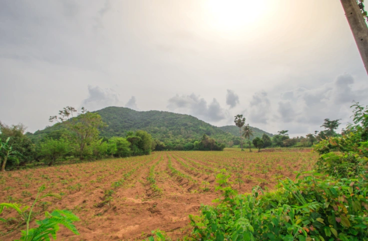 P323+MW2, Vallabhnagar, Banjari, Rajasthan 313601, India