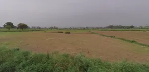Bikaner, Rajasthan, India preview 2