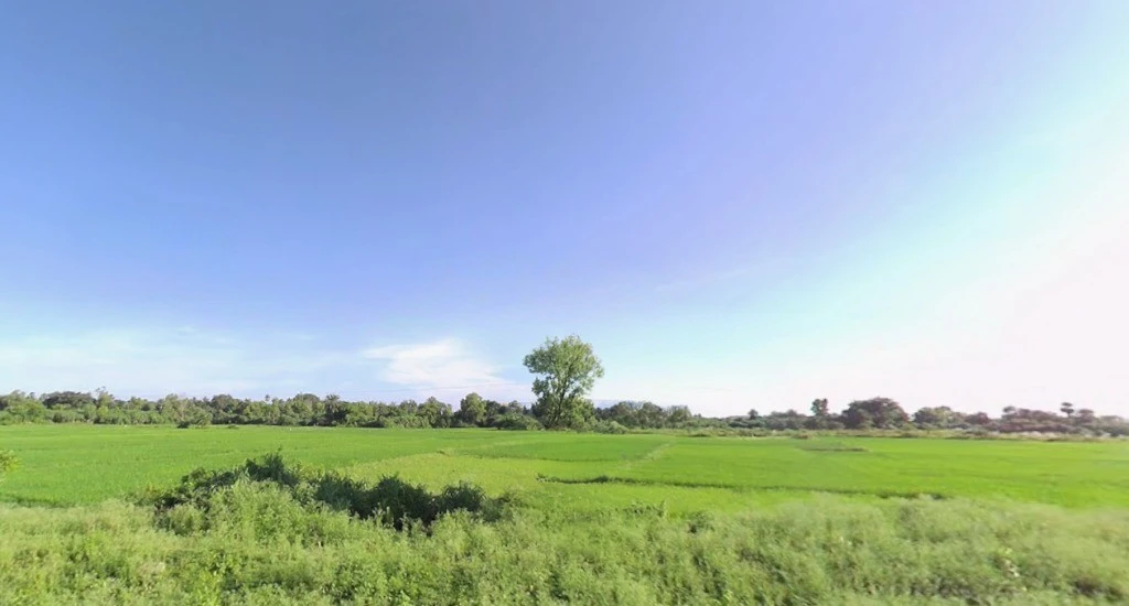 Chamakhandi, Odisha 761045, India