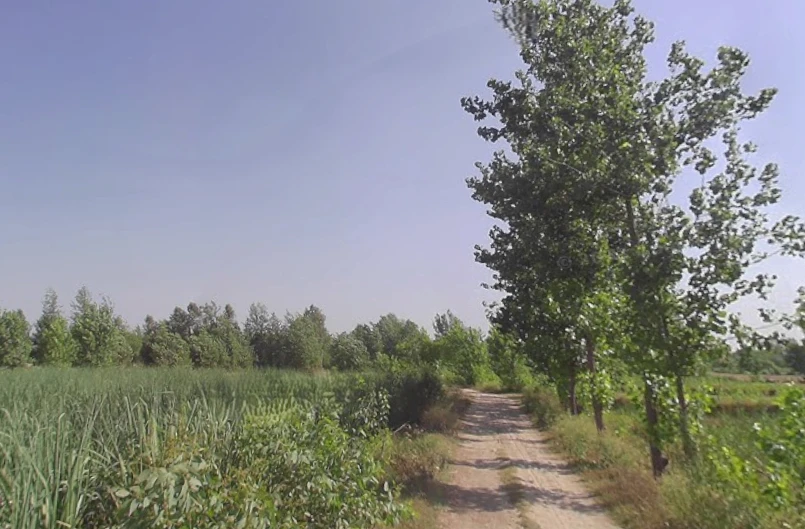 Fatehganj Pashchimi, Uttar Pradesh 243501, India