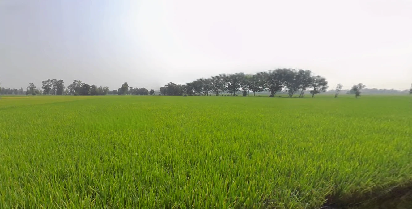 Shankar, Punjab 144042, India