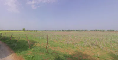 Khachariawas, Rajasthan 332710, India preview 3