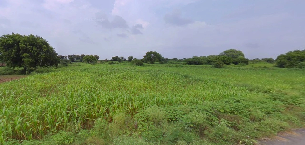 Sri Ganganagar, Rajasthan, India