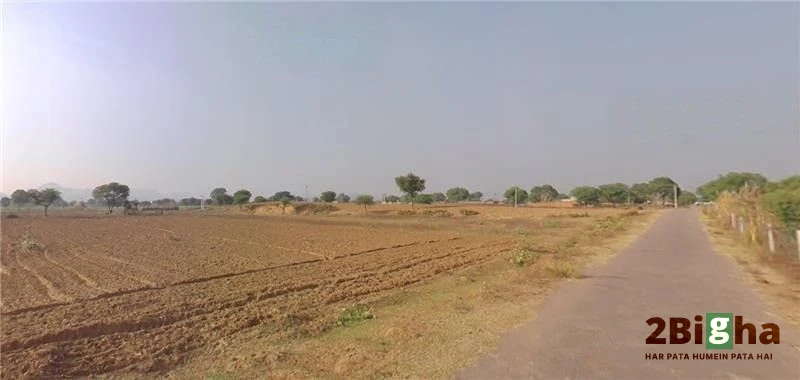 Sargoth, Rajasthan 332404, India