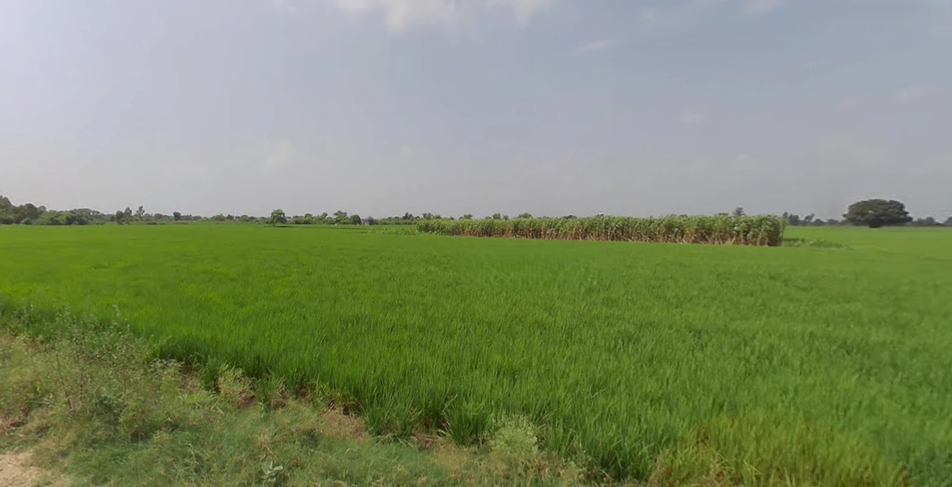 Sirhind Rd, Harinder Nagar, Patiala, Punjab 147004, India