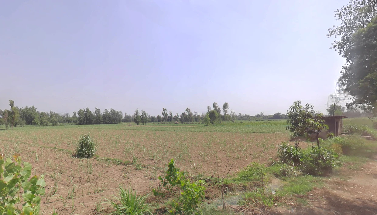 Siyana, Uttar Pradesh 203412, India