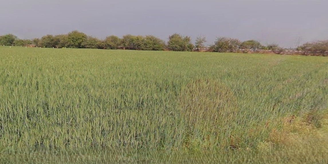 Dadri, Bhiwani, Haryana 127021, India preview 3