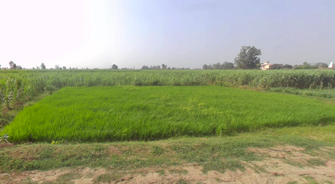 Jatpura, Uttar Pradesh 244601, India
