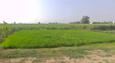 Jatpura, Uttar Pradesh 244601, India preview 3