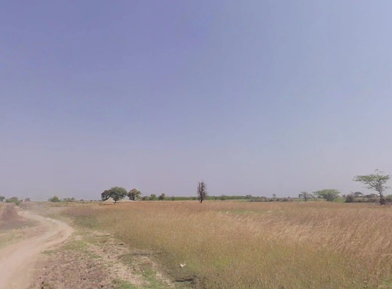 Chaksu, Rajasthan 303901, India