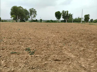 Chandpur, Uttar Pradesh, India preview 2