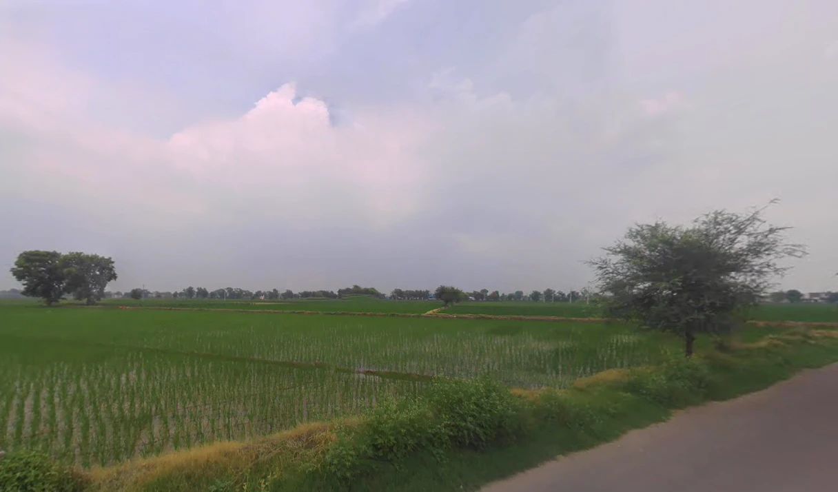 Bighar, Haryana 125050, India