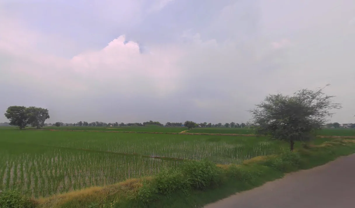 Bighar, Haryana 125050, India preview 3