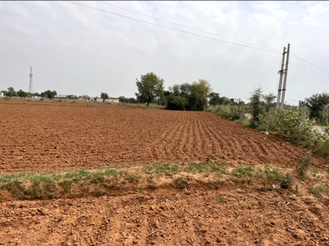 744H+V7R, Kharoda, Haryana 122103, India