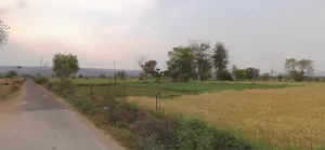 Delhi Rd, Kherado, Alwar, Rajasthan 301001, India preview 2