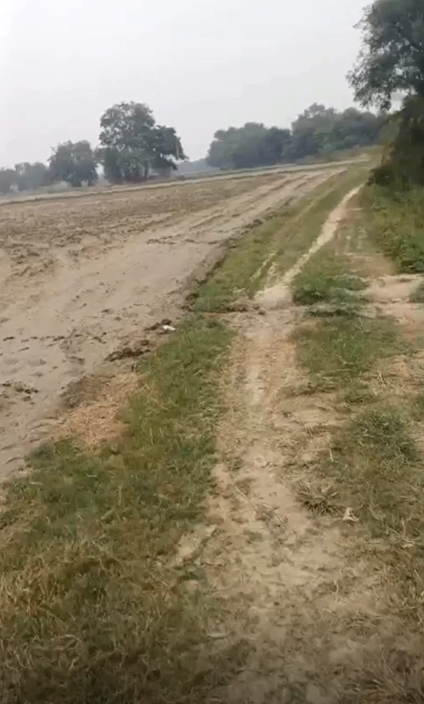 VMWJ+QMR, Gagol, Uttar Pradesh, India