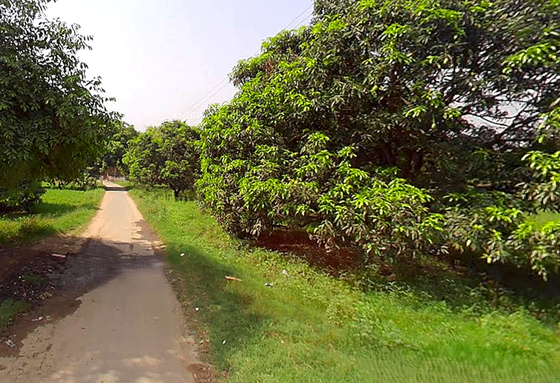 Siyana, Uttar Pradesh 203412, India