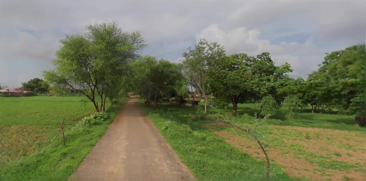 Barnagar, Madhya Pradesh 456771, India