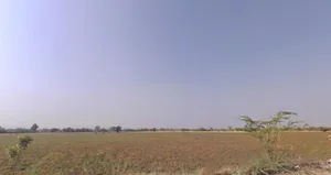 Bala, Rajasthan 306422, India preview 3