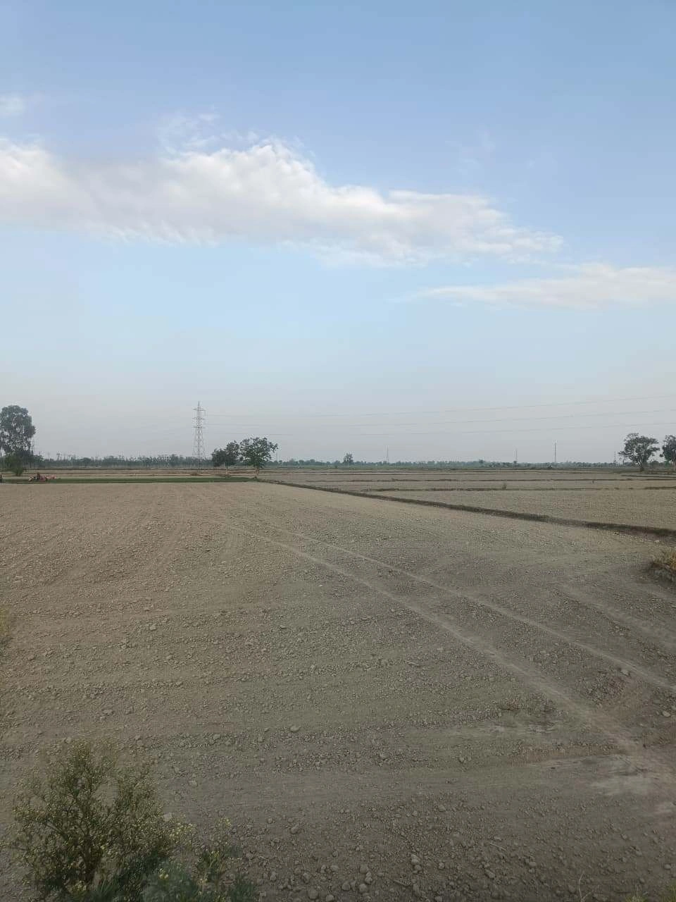 Aou, Rajasthan, India