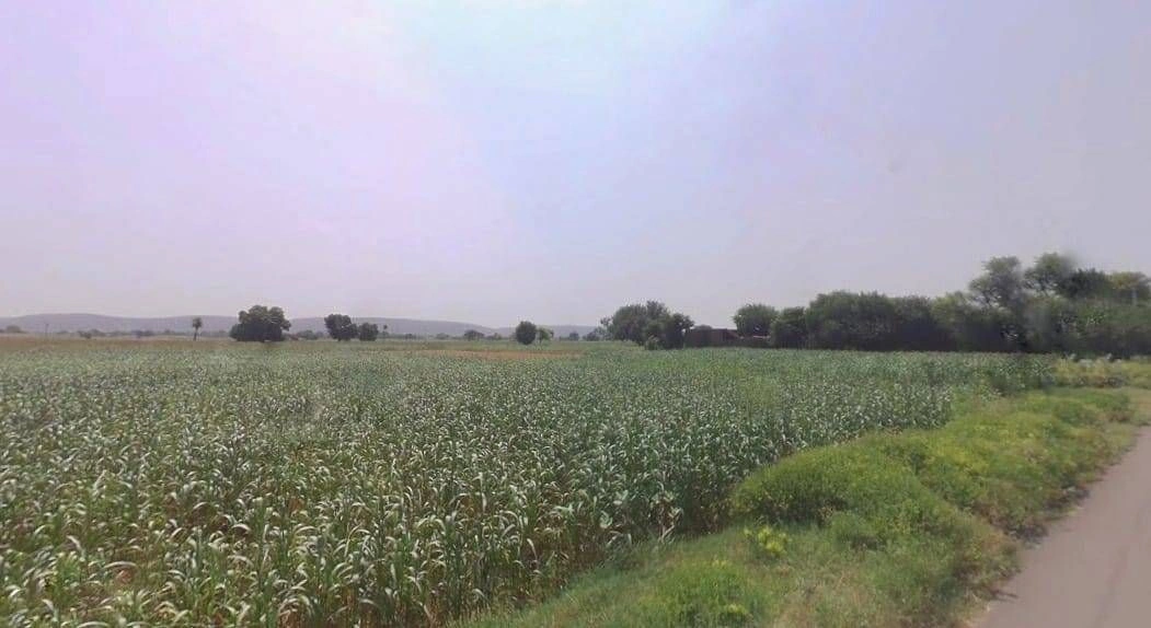 Firozpur Jhirka, Haryana 122104, India