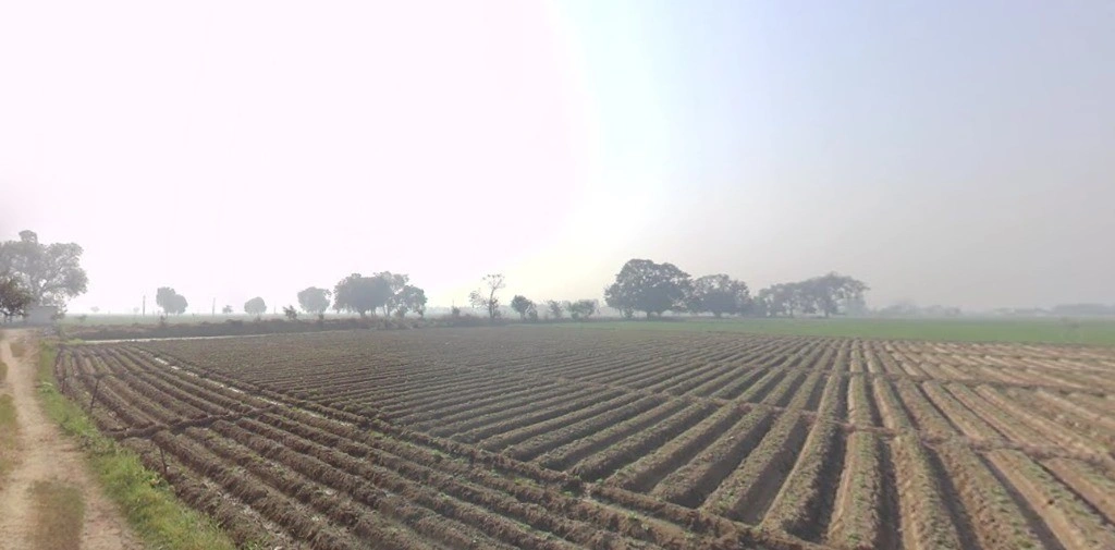 Meloj, Gujarat 384151, India