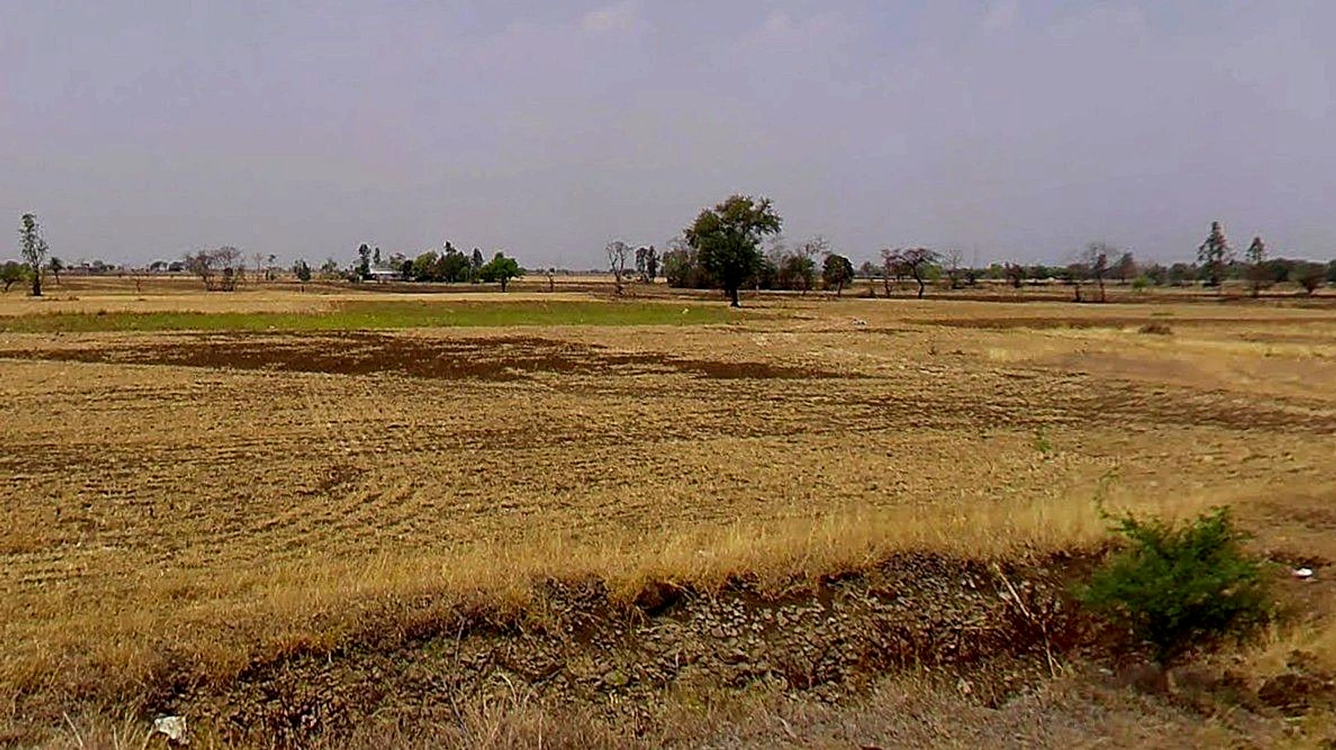 52PR+VQC, Rafiqueganj, Madhya Pradesh 466001, India