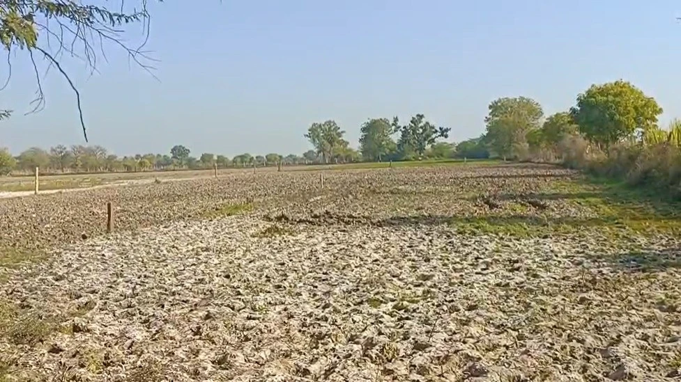 2M6W+98 Alipura, Rajasthan, India