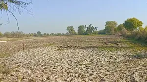 2M6W+98 Alipura, Rajasthan, India preview 2