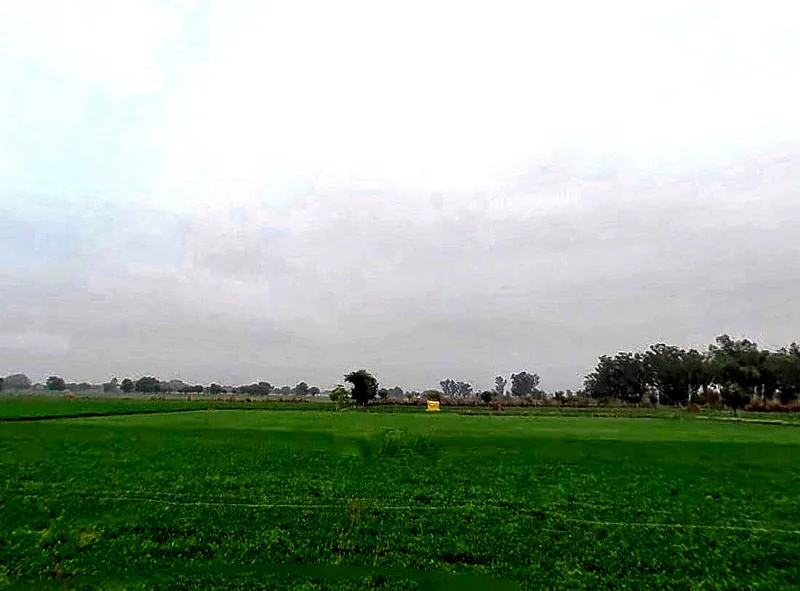 Mahlan, Rajasthan 303007, India preview 2