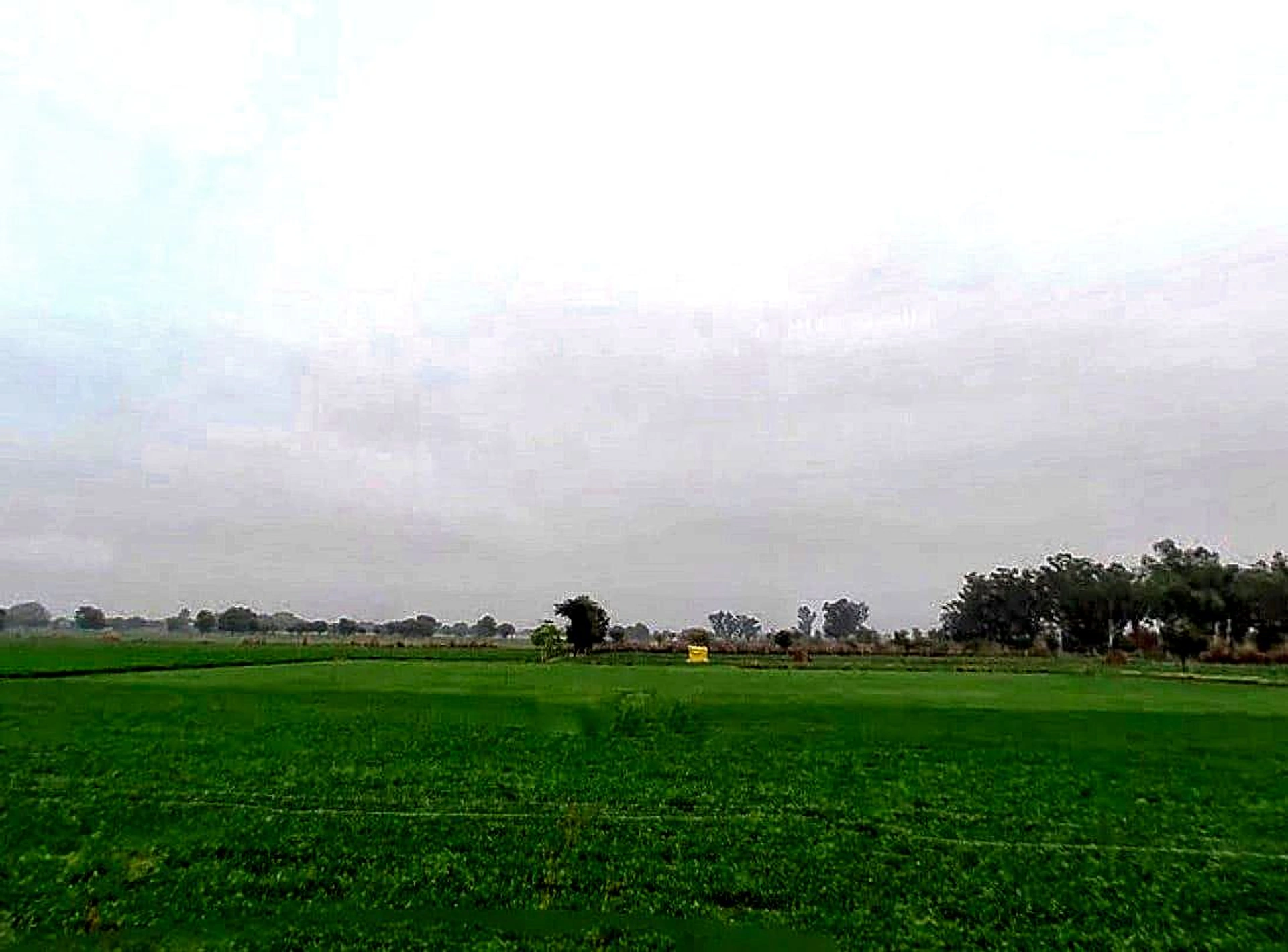 Mahlan, Rajasthan 303007, India