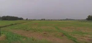 Sri Ganganagar, Rajasthan, India preview 3