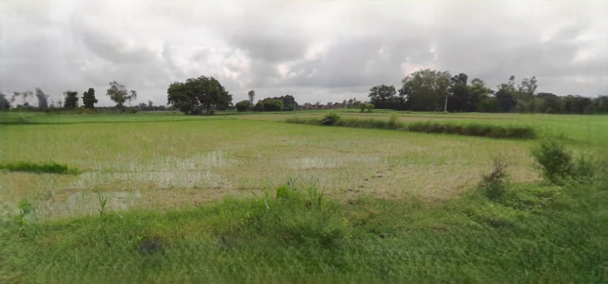 Rangia, Assam, India